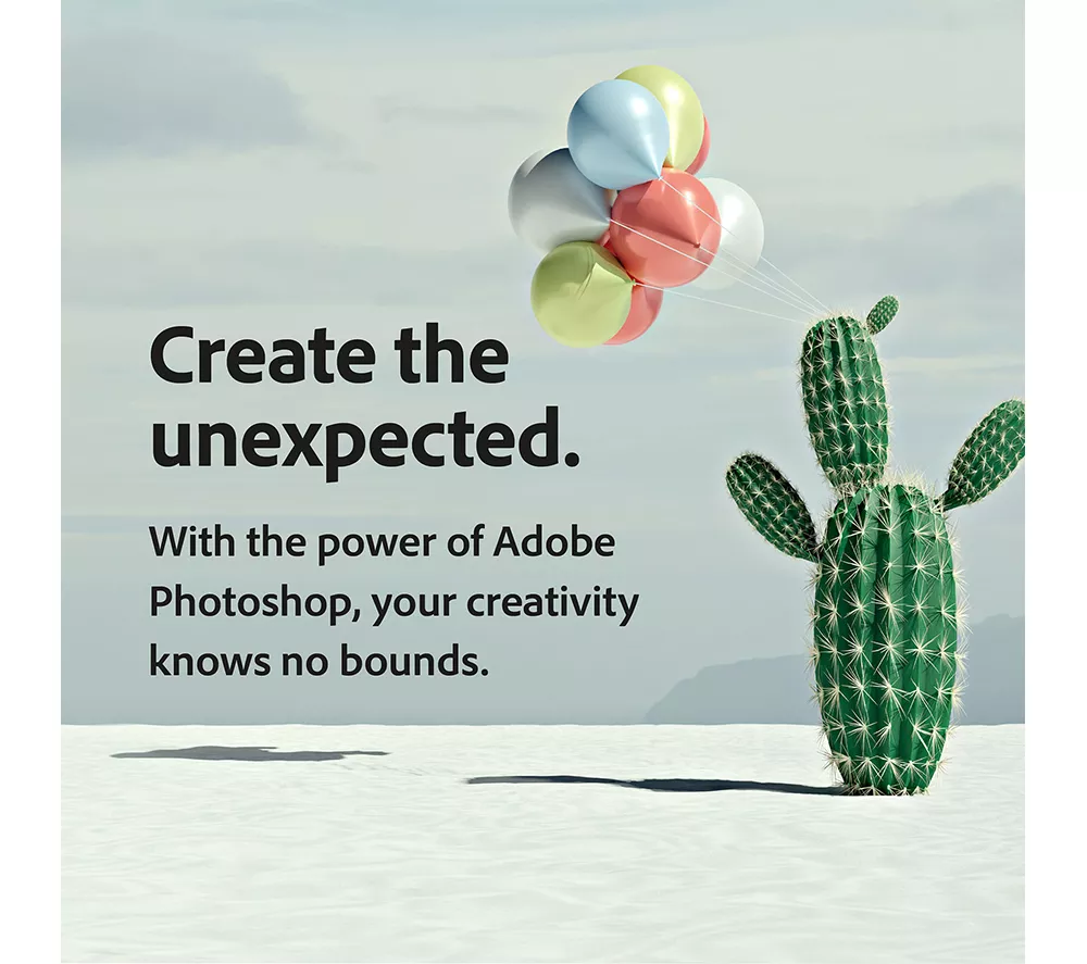 ADOBE Creative Cloud Photography Plan - 1 year for 1 user - Image 5