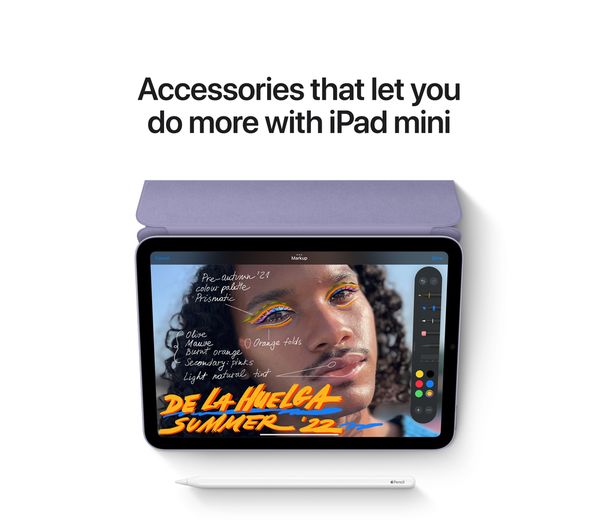 APPLE 8.3" iPad mini Cellular (2021) - 256 GB Space Grey