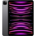 APPLE 11" iPad Pro Cellular (2022) - 256 GB  Space Grey